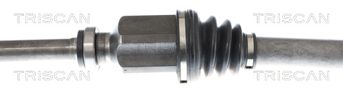 TRISCAN Drivaksel 854010570 for DS