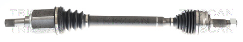 TRISCAN Drivaksel 854010569 for DS
