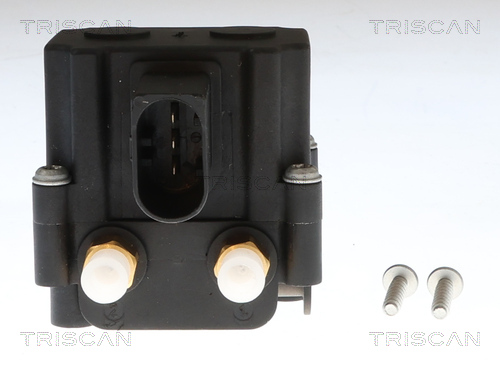 TRISCAN Kompressor, trykluftanlæg 8725 11202 for BMW