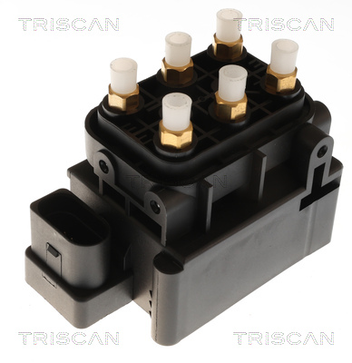 TRISCAN Kompressor, trykluftanlæg 8725 29202 for AUDI