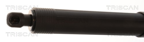 TRISCAN Gasfjeder, kuffert-/lastrum 8710 11380 for BMW