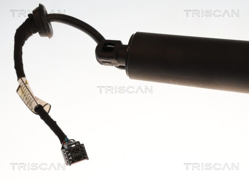 TRISCAN Gasfjeder, kuffert-/lastrum 871029335 for AUDI