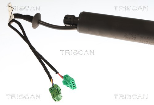 TRISCAN Gasfjeder, kuffert-/lastrum 871028304 for CITROËN