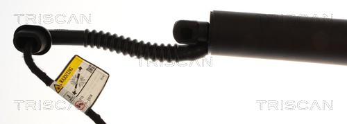 TRISCAN Gasfjeder, kuffert-/lastrum 871011383 for BMW