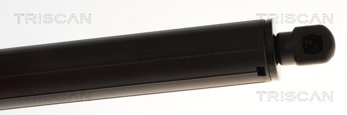 TRISCAN Gasfjeder, kuffert-/lastrum 871016281 for FORD