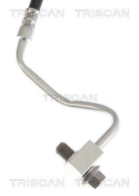 TRISCAN Bremseslange 815081219 for TESLA