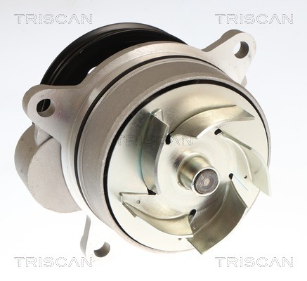 TRISCAN Vandpumpe 8600 16082 for FORD