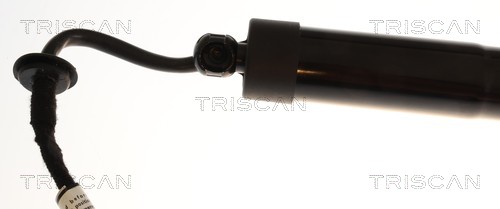 TRISCAN Gasfjeder, kuffert-/lastrum 8710 43316 for HYUNDAI