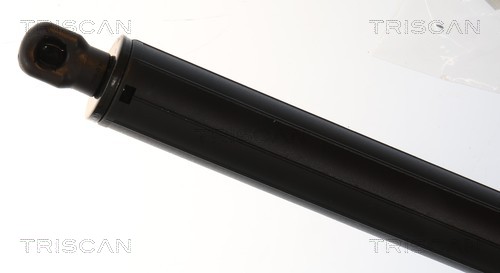 TRISCAN Gasfjeder, kuffert-/lastrum 8710 11145 for BMW