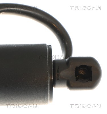 TRISCAN Gasfjeder, kuffert-/lastrum 871081209 for TESLA
