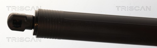 TRISCAN Gasfjeder, kuffert-/lastrum 8710 29337 for AUDI