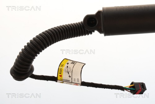 TRISCAN Gasfjeder, kuffert-/lastrum 871029343 for VW