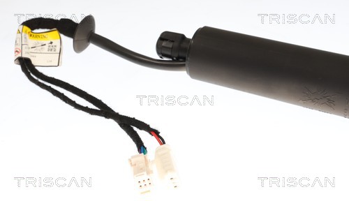 TRISCAN Gasfjeder, kuffert-/lastrum 871028303 for CITROËN