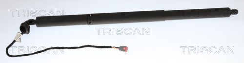 TRISCAN Gasfjeder, kuffert-/lastrum 8710 16317 for FORD