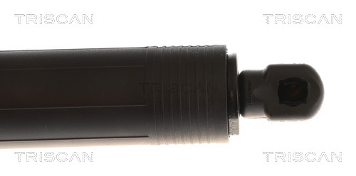 TRISCAN Gasfjeder, kuffert-/lastrum 871016317 for FORD