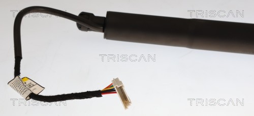 TRISCAN Gasfjeder, kuffert-/lastrum 8710 11376 for BMW