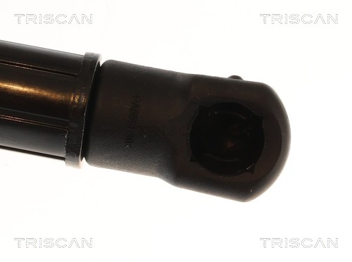 TRISCAN Gasfjeder, kuffert-/lastrum 871011376 for BMW