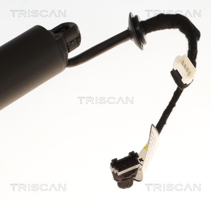 TRISCAN Gasfjeder, kuffert-/lastrum 871011371 for BMW
