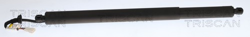 TRISCAN Gasfjeder, kuffert-/lastrum 871011384 for BMW