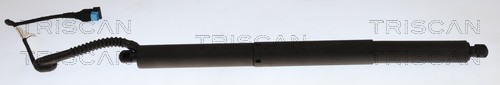 TRISCAN Gasfjeder, kuffert-/lastrum 871011382 for BMW