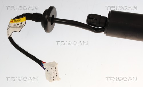 TRISCAN Gasfjeder, kuffert-/lastrum 871025303 for RENAULT