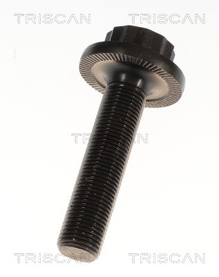 TRISCAN Drivaksel 8540297060 for AUDI VW