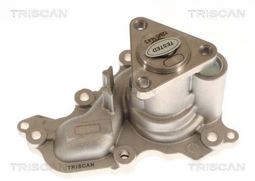 TRISCAN Vandpumpe 8600 16081 for FORD