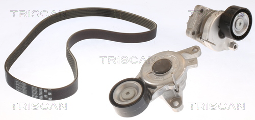TRISCAN Kileremssæt 8642 10038 for PEUGEOT VAUXHALL DS TOYOTA