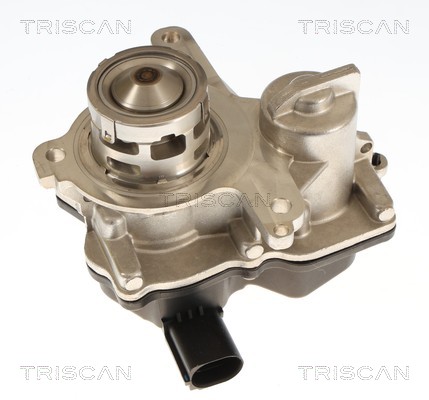 TRISCAN EGR-ventil 881329119 for CUPRA