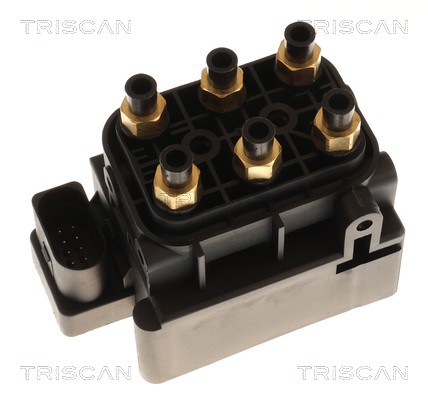 TRISCAN Kompressor, trykluftanlæg 8725 81201 for VOLVO MASERATI VW DODGE PORSCHE HYUNDAI JEEP TESLA