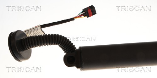 TRISCAN Gasfjeder, kuffert-/lastrum 871027316 for VOLVO