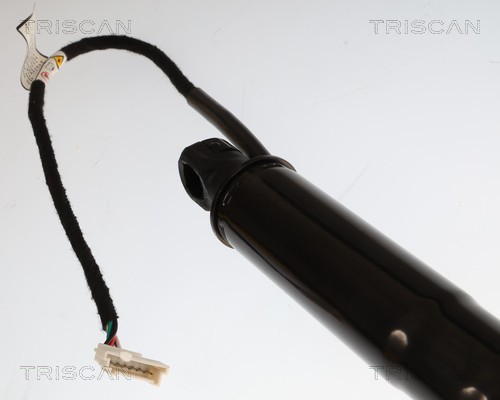TRISCAN Gasfjeder, kuffert-/lastrum 871011381 for BMW