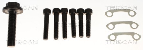 TRISCAN Drivaksel 8540297061 for VW