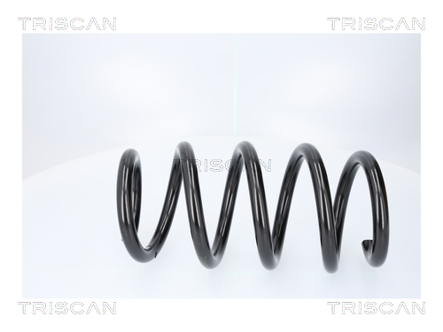 TRISCAN Fjeder 87508111 bagaksel for TESLA