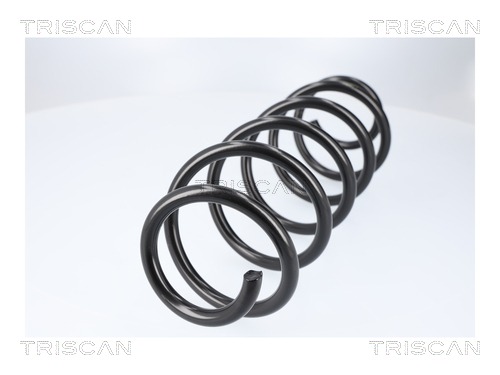 TRISCAN Fjeder 875013257 bagaksel for TOYOTA