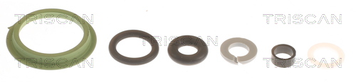 TRISCAN Pakningssæt, indsprøjtningsdyse 596-1008 for MERCEDES-BENZ NISSAN INFINITI