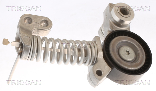 TRISCAN Remstrammer, kilerem 8641 101014 for VOLVO