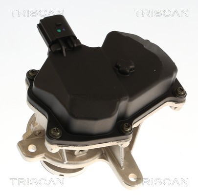 TRISCAN EGR-ventil 8813 29119 for CUPRA