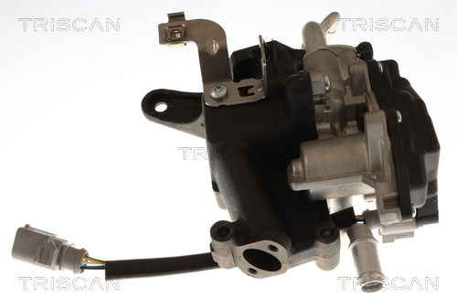 TRISCAN EGR-ventil 8813 29118 for VW