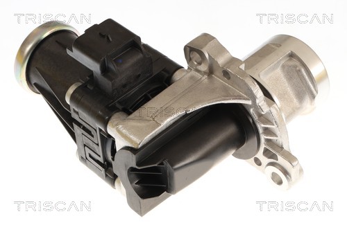 TRISCAN EGR-ventil 8813 16074 for FORD