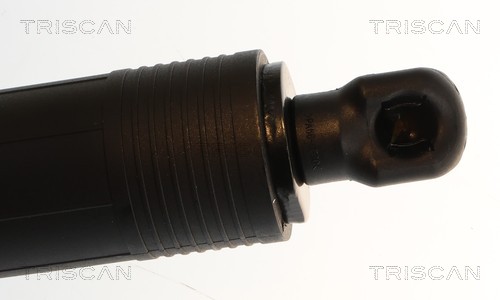 TRISCAN Gasfjeder, kuffert-/lastrum 871029328 for SKODA