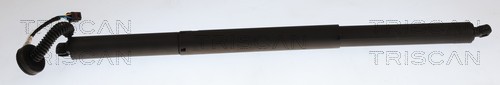 TRISCAN Gasfjeder, kuffert-/lastrum 871027315 for VOLVO
