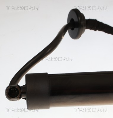 TRISCAN Gasfjeder, kuffert-/lastrum 8710 25301 for RENAULT