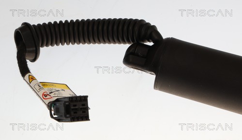 TRISCAN Gasfjeder, kuffert-/lastrum 871043319 for HYUNDAI
