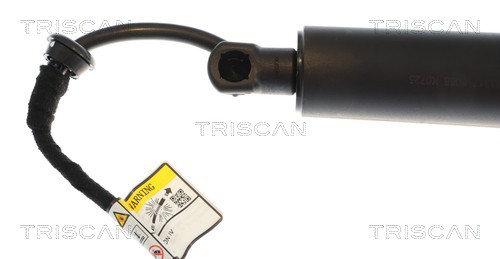 TRISCAN Gasfjeder, kuffert-/lastrum 871043317 for HYUNDAI