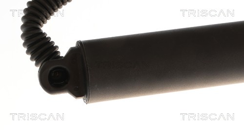 TRISCAN Gasfjeder, kuffert-/lastrum 8710 29334 for VW