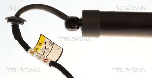 TRISCAN Gasfjeder, kuffert-/lastrum 871043315 for HYUNDAI