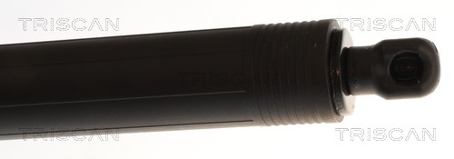 TRISCAN Gasfjeder, kuffert-/lastrum 8710 29342 for VW
