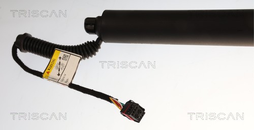 TRISCAN Gasfjeder, kuffert-/lastrum 871029339 for CUPRA