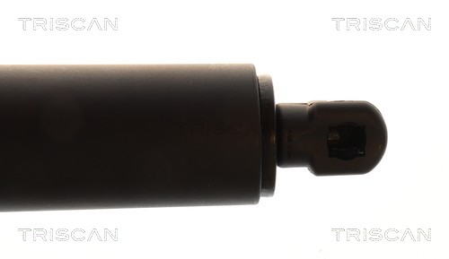 TRISCAN Gasfjeder, kuffert-/lastrum 8710292089 for VW